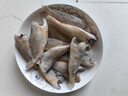 虾有虾途去头小黄花鱼鲜活冷冻小黄鱼海捕鱼海鱼整箱批发价4斤净重 【去头】深海小黄鱼 4斤去头小黄鱼 实拍图