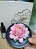 Para Ella永生花陶瓷牡丹生日礼物女伴手礼冬至母亲元旦圣诞年会平安夜结婚 实拍图