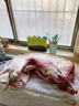 皓谦羔羊后腿肉内蒙古全羊新鲜羊后腿肉整只羊腿肉清炖红烧羊肉礼盒 全羊整只30斤左右 宴会送礼 实拍图