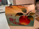 静宁苹果 【顺丰到家】甘肃红富士苹果水果 新鲜应季静宁苹果 15-16枚85特大果净重8.5斤严选装 实拍图