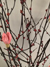 美学黑客真树枝干枝山捻枝玉兰花束客厅摆设干花花束真花插花家居室内装饰 玉兰花红色三支不含花瓶 实拍图