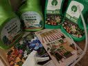花沃里虞美人花种子约2万粒 花卉种子盆栽阳台种菜土庭院/田间种植草籽 实拍图