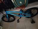 途锐达京东自营超轻儿童自行车3-6岁小男孩骑行单车元旦礼物峰鸟18寸蓝 实拍图