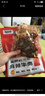 蜀道香牛肉零食618g 5种牛肉 麻辣肉干肉脯 四川特产 囤年货送礼包 团购 实拍图