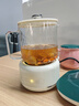 养生壶烧水壶热水壶恒温壶煮茶壶泡茶壶一体玻璃全自动小家用多功能办公室大容量 0.7L 智能款养生壶【单壶】 实拍图