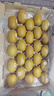 佳沛（zespri）新西兰  阳光金奇异果25-27粒原箱特大果单果约122-146g  猕猴桃 实拍图