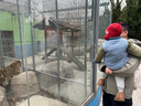戴维贝拉男童雪地靴儿童宝宝加绒棉鞋冬季童鞋女童靴子保暖 实拍图