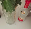 剑南春 水晶剑 46度 100ml 单瓶装 浓香型白酒 实拍图