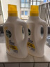 滴露（Dettol）多效衣物除菌液阳光柠檬2.5L 衣物杀菌消毒液除霉剂 7天抑菌除螨 实拍图