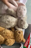 Jellycat害羞米色邦尼兔动物毛绒玩偶安抚公仔娃娃圣诞节生日礼物 米色 Medium 实拍图