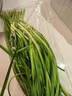 有机韭菜 250g 实拍图