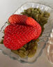 丹东草莓99红颜奶油水果礼盒生鲜 新鲜现货 源头直发 【泡沫箱】2斤装25-35g 实拍图