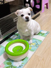 licheers狗狗水碗宠物悬浮喝水碗不湿嘴狗碗小型宠物狗水碗饮水器 绿色 实拍图