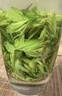 一杯香茶叶绿茶正宗黄山毛峰500g2025新茶雨前礼盒装送礼自己喝袋装自饮 实拍图