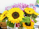 悦多彩优质水养鲜切花 母亲节三八节花束 昆明基地现采直发顺丰生活鲜花 5支向日葵（中大花） 实拍图