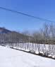 迪加伦EVA 扫雪刷 车用 汽车除雪铲 铲雪神器工具用品 加宽一体式不伤漆 实拍图