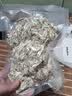 MVVWVV真空封口机干湿两用家用商用大功率食品保鲜机全自动抽真空包装机塑封机不挑袋抽腊肉 【封口机+100真空无菌袋】紫光/双泵大吸力 实拍图
