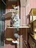 帕缇朵c3猫粮全期成猫猫粮幼奶糕无谷低敏配方猫粮 牛肉蔬菜味（10KG） 实拍图