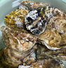 贝司令 鲜活乳山生态生蚝2XL 净重4斤 13-17只 生鲜源头直发 实拍图