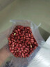 十月稻田 花生米 2斤 中粒 红皮 生花生米 东北 五谷杂粮粗粮 八宝粥原料 实拍图
