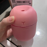 加湿器家用空气加湿器净化器香薰机空调房加湿器喷雾器usb静音卧室孕妇婴儿喷雾宿舍学生女生礼物 标准款【少女粉220ML+纳米雾化+静音加湿】 实拍图