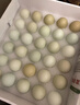 逸清源 富硒初生宝宝蛋30枚/2斤 营养乌鸡蛋 无抗生素土鸡蛋礼盒 实拍图