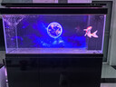 森森超白鱼缸水族箱客厅大型底滤专业龙鱼缸智能生态懒人鱼缸 经典黑 专业款 长151x宽61x高163cm（5代水槽） 实拍图