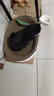 疯狂的主人猫抓板窝巨无霸猫玩具猫爪板猫抓盆不掉屑猫窝碗形圆形瓦楞纸 实拍图
