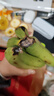 高山精品甜蕉现摘新鲜水果香蕉孕妇宝宝辅食搭配丫丫生鲜特产 1斤装【青蕉发货】 实拍图