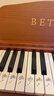 贝琪（Betsy）B351电钢琴88键重锤成人儿童电子钢琴家用练习初学者专业考级钢琴 B350Pro-标准88键木纹棕+圆腿支架 实拍图
