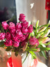 悦多彩AB级优质香水百合 家庭办公室各色生活鲜花 昆明基地 现采直发 粉色百合花10朵  ( 双头5枝) 实拍图
