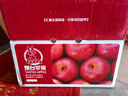 京鲜生 烟台红富士苹果 净重10斤 单果190g以上 生鲜水果 礼盒装 实拍图