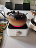 美的（Midea）电陶炉电磁炉 家用煮茶器电池炉迷你小型简易  轻音低辐射 不挑锅具 围炉煮茶 小巧精致HW08EF11 实拍图