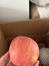 正宗新疆阿克苏冰糖心苹果新鲜水果脆甜礼盒整箱红富士雪山丑苹果 5斤 优质中果（75-80） 实拍图