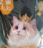 亿迪猫粮冻干幼猫成猫10斤全价英短蓝猫布偶老年猫国产通用全阶段5kg 实拍图
