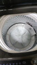 小天鹅（LittleSwan）波轮洗衣机全自动家用 10KG 直驱变频 TB100V26DT 以旧换新 国家补贴 京东自营 一级能效 实拍图