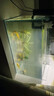 BESSN贝森金晶五线汽车级超白缸玻璃鱼缸客厅裸缸家用水草溪流缸 60*30*35cm6mm厚金晶五线超白送货上楼 实拍图