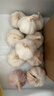 京鲜生河南杞县大蒜带皮新鲜干蒜带箱2斤 单果4.5-5cm 源头直发包邮 实拍图