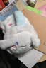 Hello Kitty儿童耳罩冬季女童保暖毛绒耳暖护耳套女孩耳捂耳包EC712 实拍图