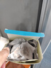 同仁堂北京同仁堂菊苣栀子茶降茯苓尿酸葛根桑叶健康养生茶叶包160g*3盒 实拍图