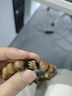 琅清奇楠沉香手串十二生肖护身符天然玛瑙银饰品手镯链转运生肖鼠12mm 实拍图