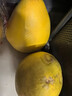 福建平和老树红柚 新鲜现摘 皮薄肉厚多汁 蜜柚柚子 2-3斤（1-2粒）推荐 实拍图