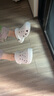 卡骆驰（CROCS）洞洞鞋贝雅男鞋女鞋轻便耐磨一脚蹬拖鞋休闲鞋|10126 白-100 36 /37(220mm) 实拍图