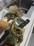 HT惠州梅菜华通梅菜芯梅菜干梅菜扣肉饼下饭菜正宗特产芥菜梅干菜 梅菜芯300g甜 实拍图