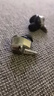 HIFIMAN（海菲曼）【国家补贴】Svanar Wireless大天鹅真无线 主动降噪蓝牙耳机 入耳式无线耳机 HIFI音质 实拍图