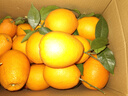 逮果重庆奉节脐橙纽荷尔春橙福本特级大果礼盒装时令新鲜孕妇水果橙子 特级果20斤礼盒装【JD/顺丰】 实拍图