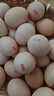 宋蛋蛋新鲜富硒大码土鸡蛋单枚55克起 散养食品 早餐生鲜超市整箱 45枚 实拍图