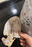 北海印象北海特产 鱿鱼干A2L 500g淡干烧烤手撕芥末干货 年货春节送礼礼品 实拍图