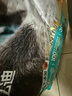 亿迪猫粮全价成猫幼猫冻干全阶段5斤布偶蓝猫英短橘猫通用小包装2.5kg 实拍图