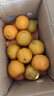 早熟新鲜椪柑丑橘子应季新鲜水果酸甜多汁整箱包邮 5斤装 实拍图